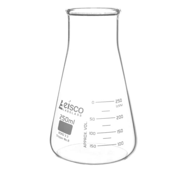 Erlenmeyer
